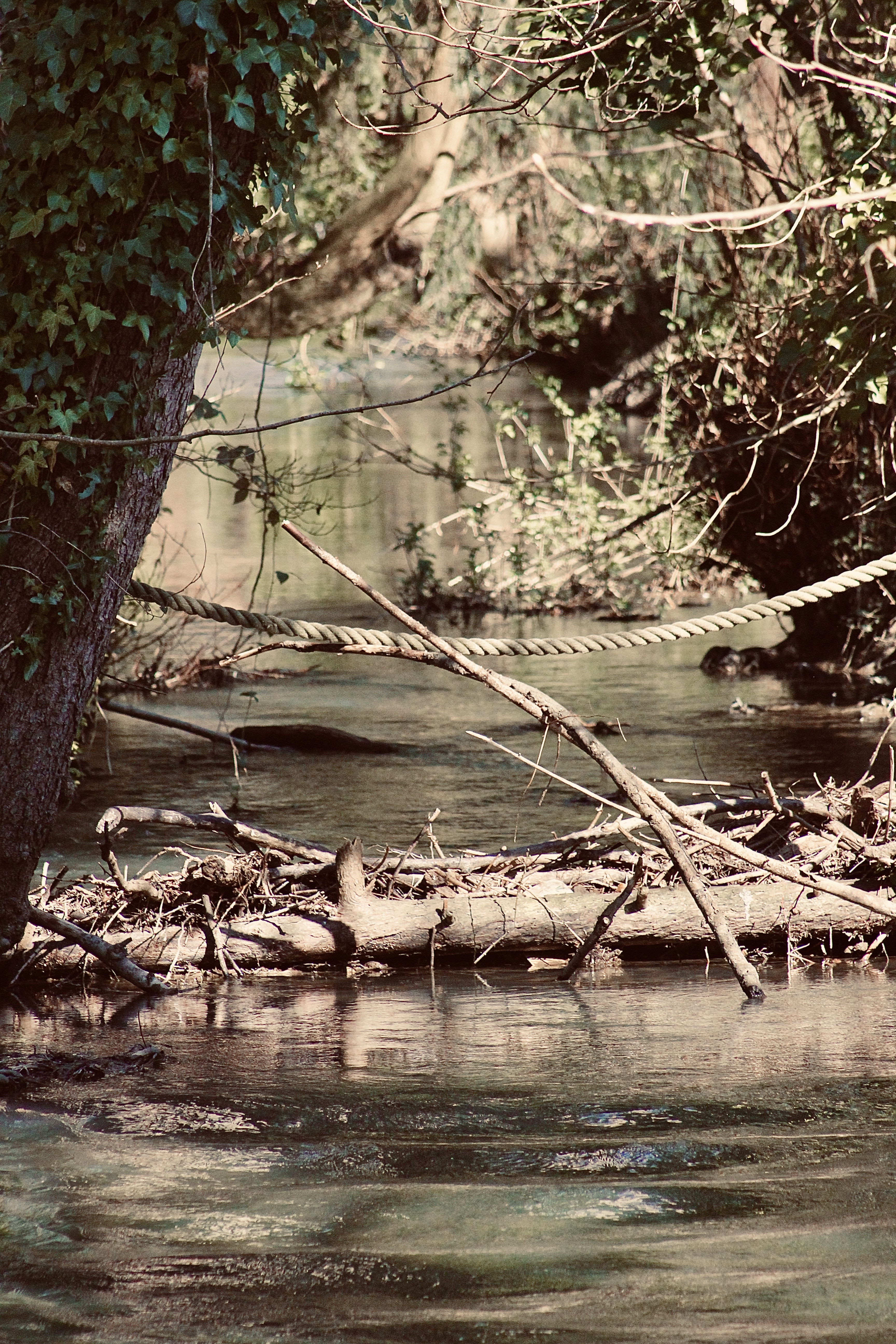 Images